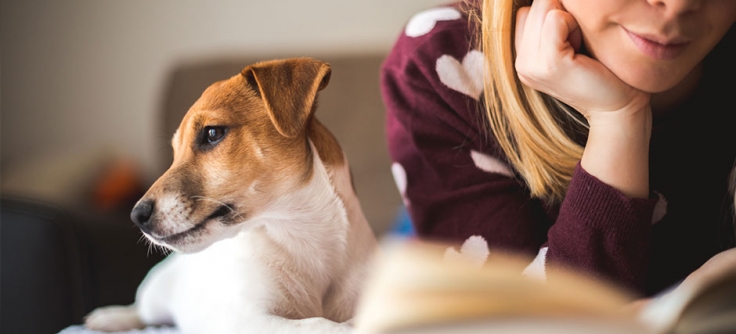 can you keep a dog in a council house